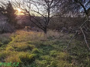 Pronájem zahrady, Brno, Podhájí, 1359 m2