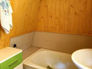 Prodej chaty, Čerňovice, 40 m2