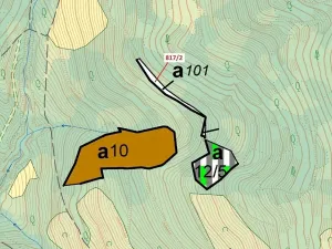 Dražba lesa, Zubrnice, 815 m2