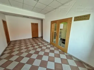 Prodej obchodního prostoru, Znojmo, Vídeňská třída, 5100 m2