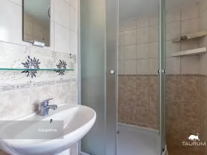 Prodej bytu 2+kk, Plzeň - Jižní Předměstí, Karlova, 51 m2