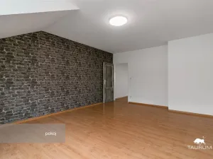 Prodej bytu 1+1, Plzeň - Jižní Předměstí, Karlova, 51 m2