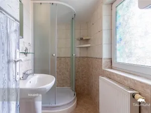 Prodej bytu 1+1, Plzeň - Jižní Předměstí, Karlova, 51 m2