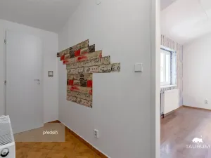 Prodej bytu 1+1, Plzeň - Jižní Předměstí, Karlova, 51 m2