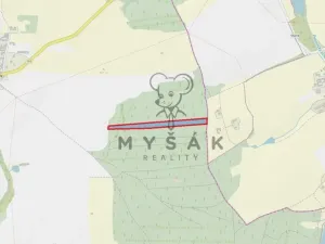 Prodej lesa, Borovany - Vrcov, 18645 m2