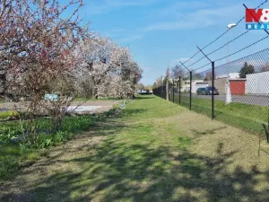 Prodej zahrady, Hradec Králové, U Mostku, 300 m2