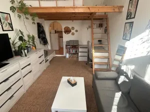 Pronájem bytu 1+kk, Praha - Smíchov, Zoubkova, 27 m2