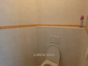 Pronájem obchodního prostoru, Veselí nad Moravou, Sokolovská, 116 m2