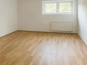Pronájem pokoje, Praha - Břevnov, Na břevnovské pláni, 18 m2