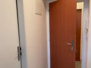 Pronájem bytu 1+kk, Praha - Vysočany, Freyova, 22 m2