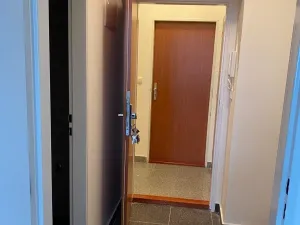 Pronájem bytu 1+kk, Praha - Vysočany, Freyova, 22 m2