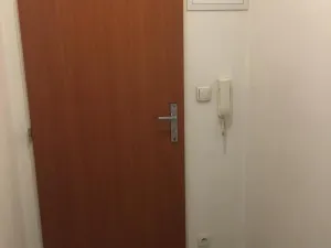 Pronájem bytu 1+kk, Praha - Vysočany, Freyova, 18 m2