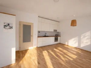 Pronájem bytu 1+kk, Praha - Hlubočepy, Chlupáčova, 29 m2