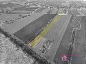 Prodej sadu/vinice, Rakvice, Horní, 9203 m2