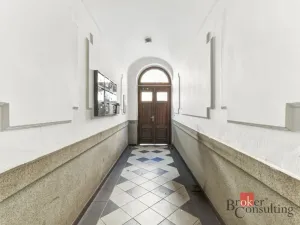 Prodej bytu 2+kk, Praha - Žižkov, Hartigova, 53 m2