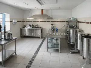 Prodej zemědělské usedlosti, Lhenice, 300 m2