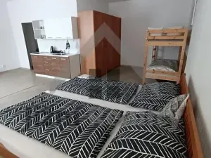 Prodej činžovního domu, Stráž nad Nežárkou, Chlumecká, 900 m2