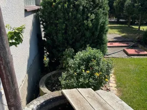 Prodej rodinného domu, Podbořany - Letov, 240 m2