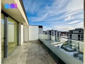 Pronájem kanceláře, Ostrava, F. X. Riepla, 268 m2
