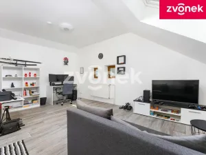Prodej rodinného domu, Vizovice, 300 m2