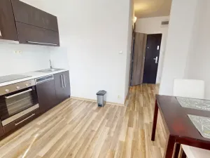 Pronájem rodinného domu, Ostrava - Mariánské Hory, Korunní, 37 m2