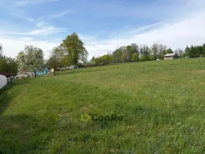 Prodej pozemku pro bydlení, Pulečný - Klíčnov, 875 m2