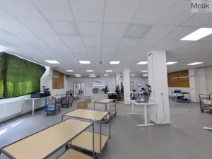 Pronájem výrobních prostor, Teplice, Pražská, 1185 m2