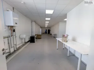 Pronájem výrobních prostor, Teplice, Pražská, 1185 m2