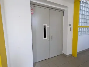 Pronájem výrobních prostor, Teplice, Pražská, 1185 m2