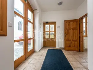 Pronájem obchodního prostoru, Mladá Boleslav - Mladá Boleslav I, Vodkova, 298 m2