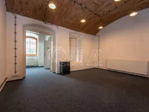 Pronájem obchodního prostoru, Mladá Boleslav - Mladá Boleslav I, Vodkova, 298 m2