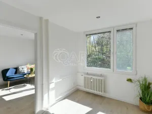 Prodej bytu 2+kk, Praha - Krč, Hurbanova, 39 m2