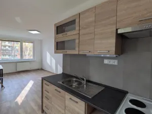 Pronájem bytu 2+kk, Most, Josefa Ševčíka, 40 m2