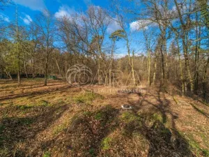 Prodej pozemku pro bydlení, Ovčáry, 6090 m2