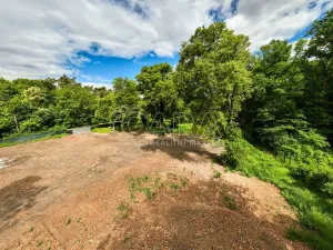 Prodej pozemku pro bydlení, Ovčáry, 6090 m2