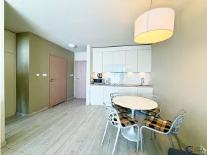 Prodej apartmánu, Dolní Morava, 41 m2