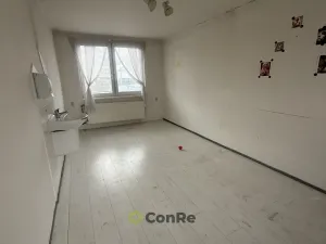 Pronájem bytu 4+1, Doudleby nad Orlicí, U Parku, 94 m2