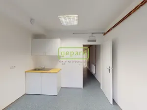 Pronájem obchodního prostoru, Litoměřice, Želetická, 698 m2