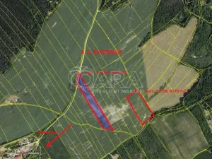 Prodej pole, Hvozdnice, 16653 m2