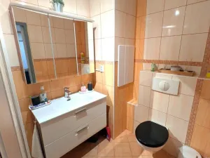 Prodej bytu 2+1, Most, M. G. Dobnera, 54 m2