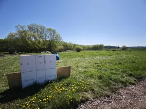 Prodej pozemku pro bydlení, Lazsko, 2045 m2