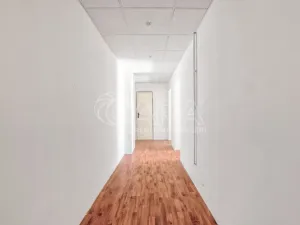 Prodej rodinného domu, Bílovec, Nad přehradou, 230 m2