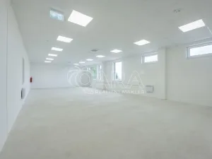 Pronájem skladu, Divišov, 2398 m2