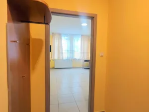 Pronájem bytu 2+kk, Karlovy Vary - Rybáře, Sokolovská, 48 m2