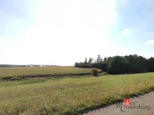 Prodej pole, Vlkov, 16385 m2