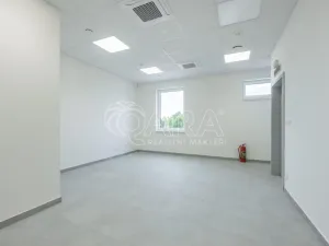 Pronájem skladu, Divišov, 2922 m2