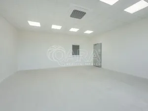 Pronájem skladu, Divišov, 2922 m2