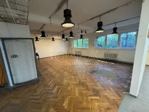Pronájem kanceláře, Praha - Horní Počernice, Bystrá, 100 m2