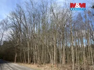 Prodej lesa, Košťálov - Kundratice, 11072 m2