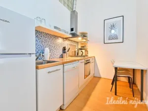 Pronájem bytu 2+1, Brno - Brno-město, Veselá, 53 m2